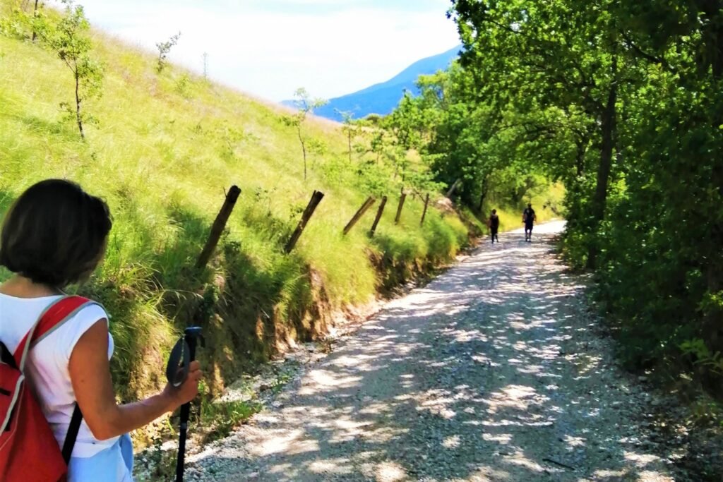 Cosa fare, vedere, mangiare nelle Marche