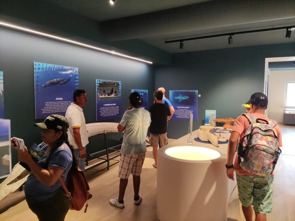 9 Cose da Vedere a San Benedetto del Tronto