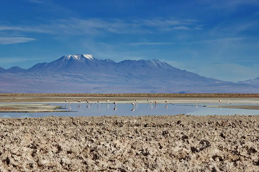 Tour Cile Classico e Deserto di Atacama